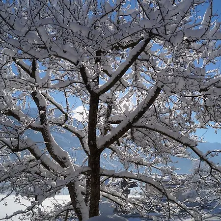 Gaestehaus Aloisia * Hippach
