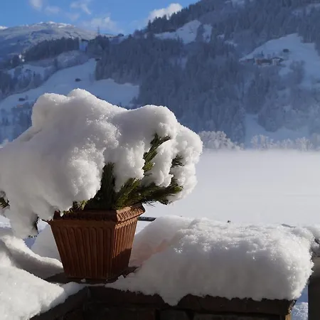 Daire Gaestehaus Aloisia *