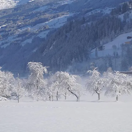 Lägenhet Gaestehaus Aloisia