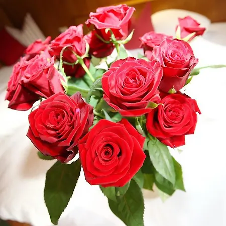 公寓 Gaestehaus Aloisia